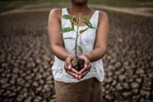 Seminarios 5 Desastres Socioambientales y Género